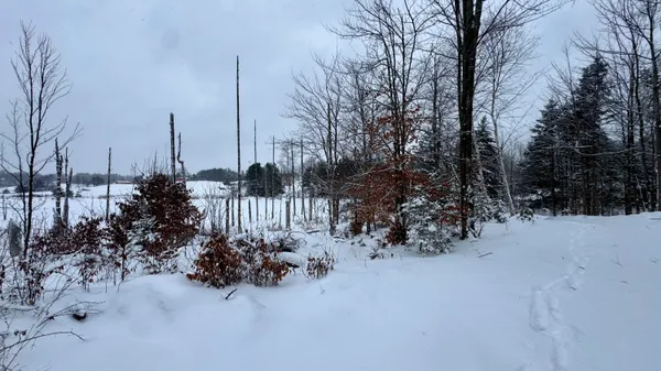 $235,000 | 21579 North 170th Avenue, Tustin, MI 49688