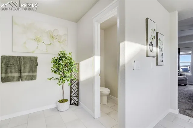 a potted plant sitting next to a shower