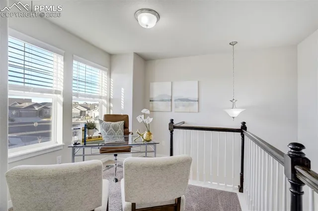 a potted plant sitting in front of a window