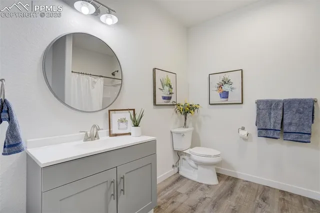 a bathroom with a shower curtain and a bathtub