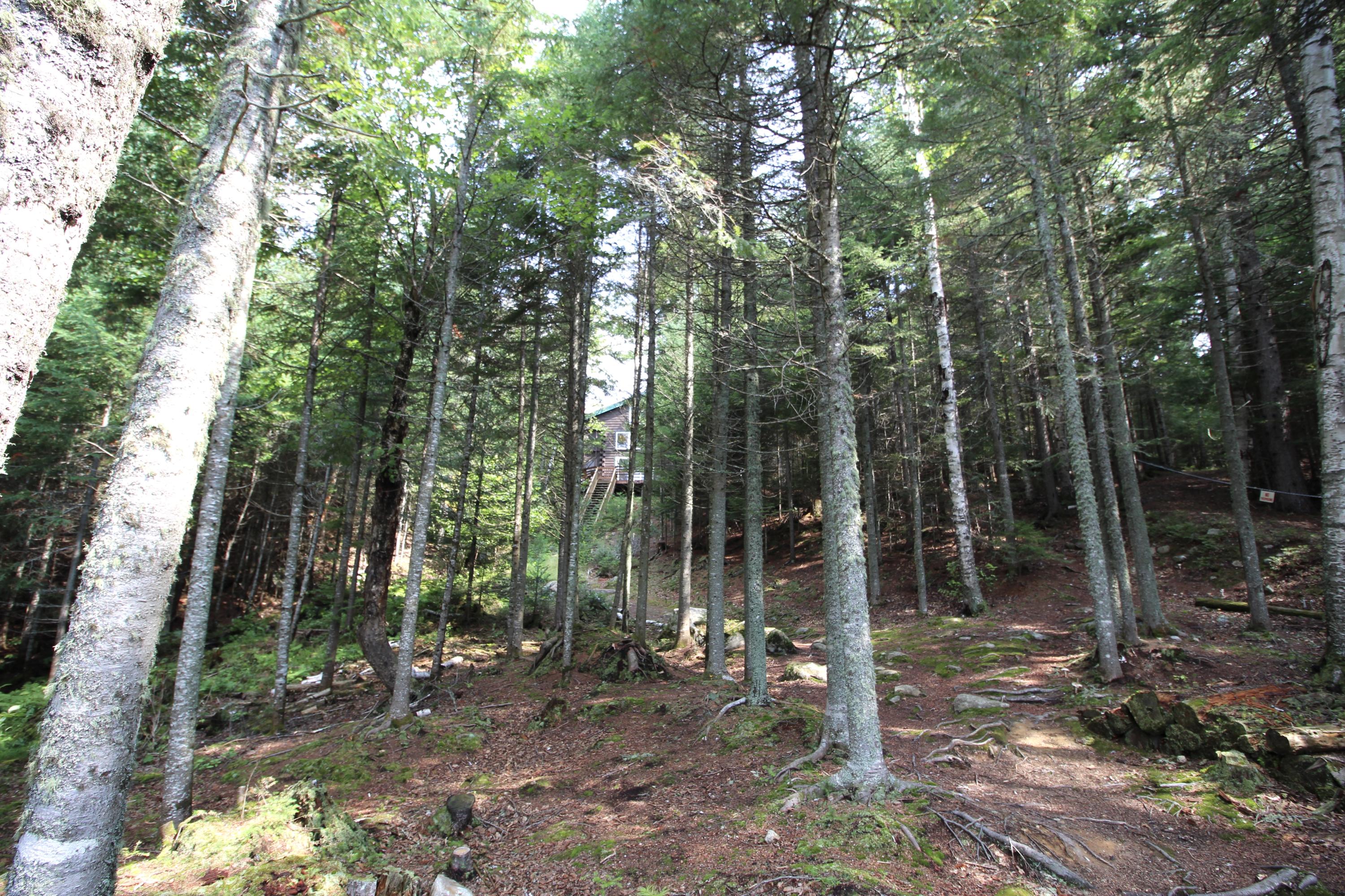 332 Birches Beach Road Oquossoc, ME 04964 - Photo 26 of 28 fullsizeoutput_4a8