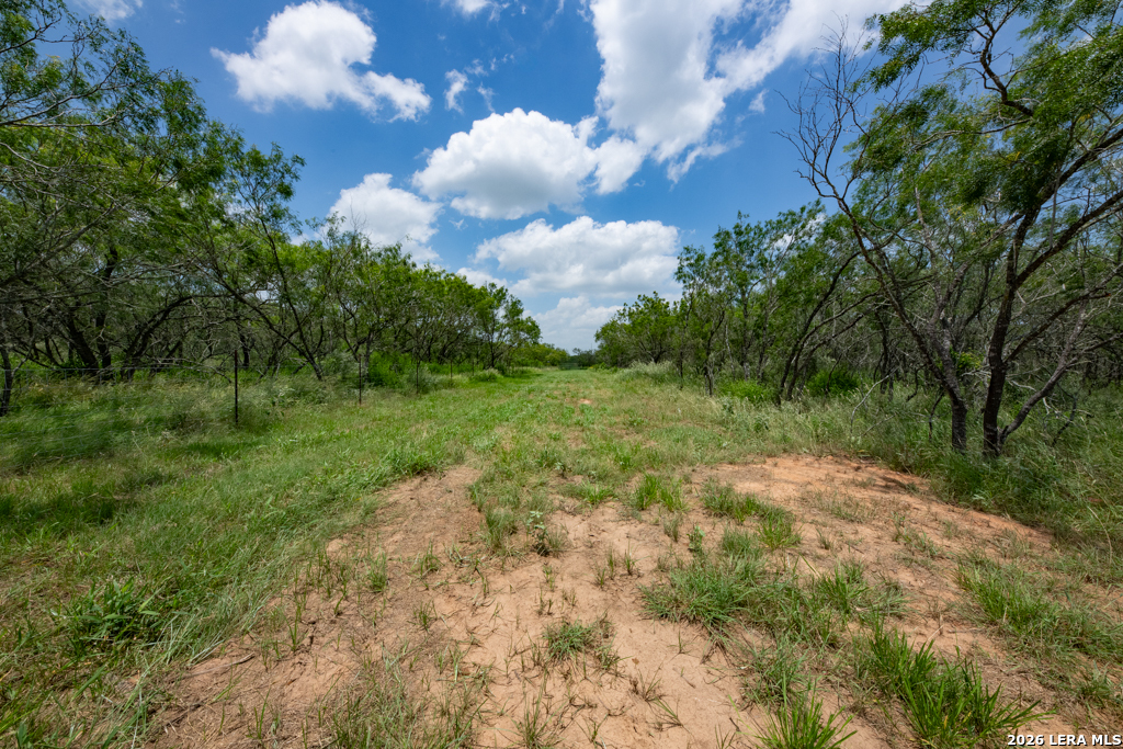 1393 Fox Trotter Road Seguin, TX 78155 - Photo 13 of 46