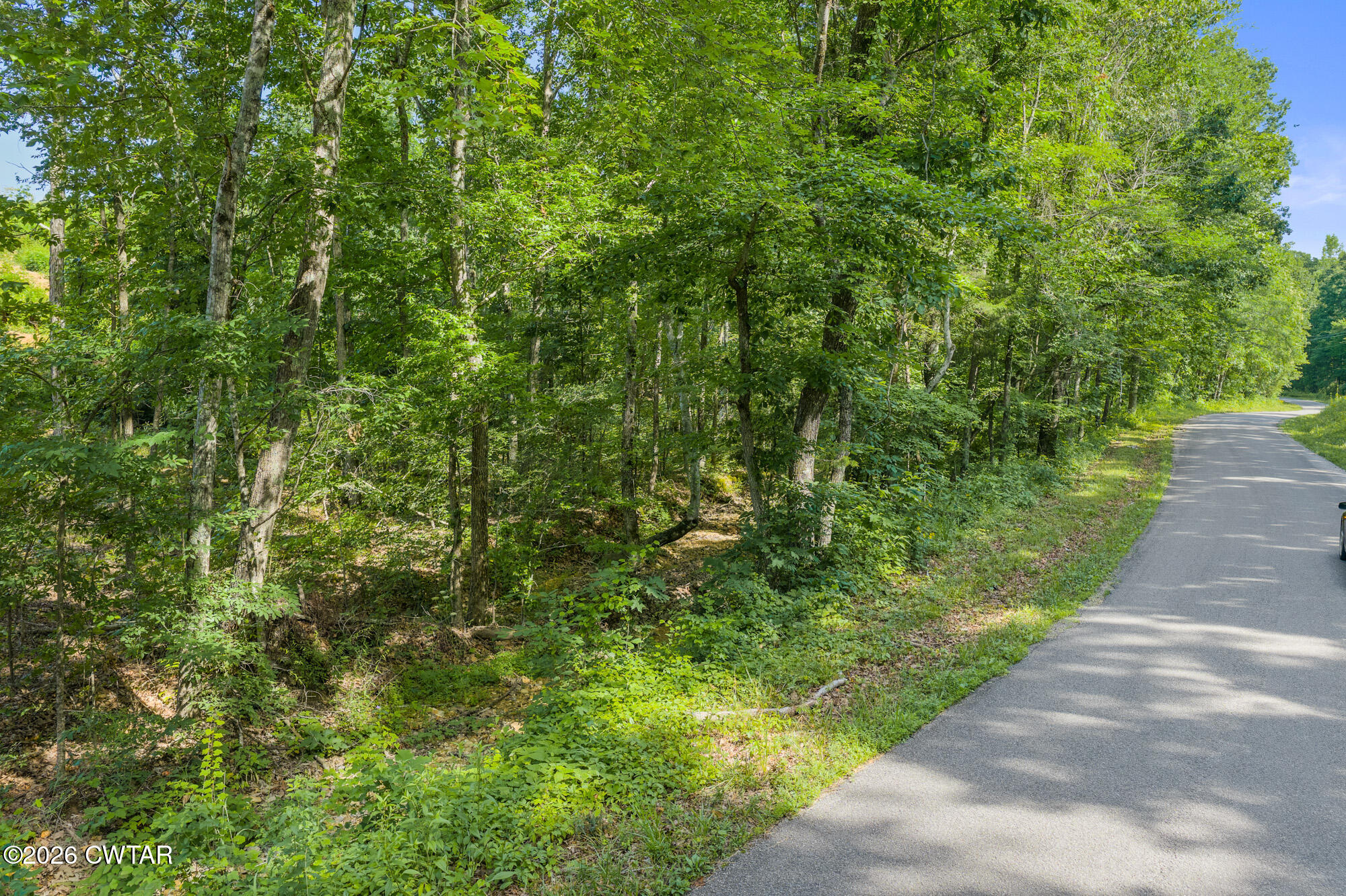 0 Coxburg Road Holladay, TN 38341 - Photo 16 of 18 DJI_20260613093800_0070_D