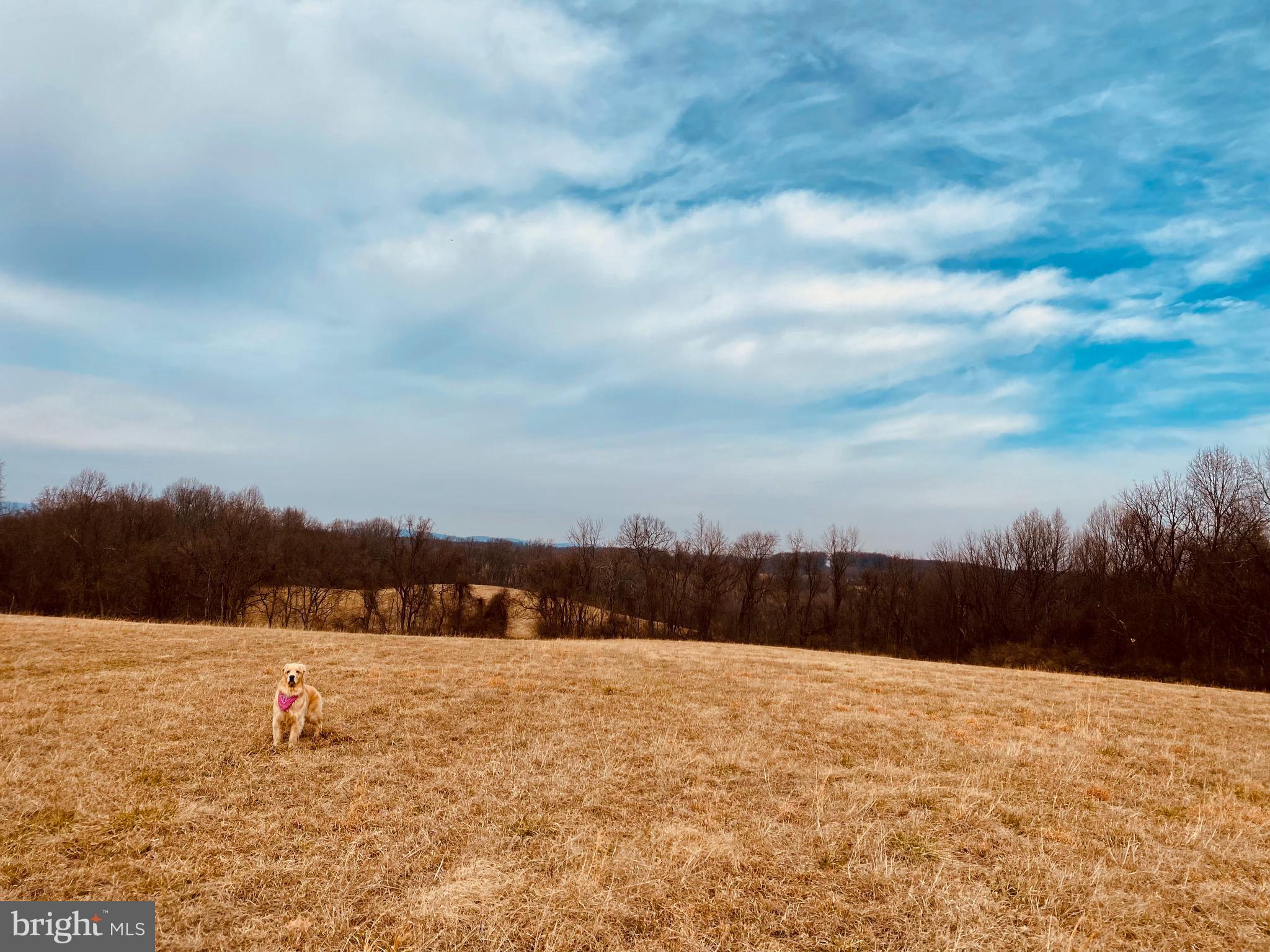 Hughesville Hamilton, VA 20158 - Photo 2 of 7
