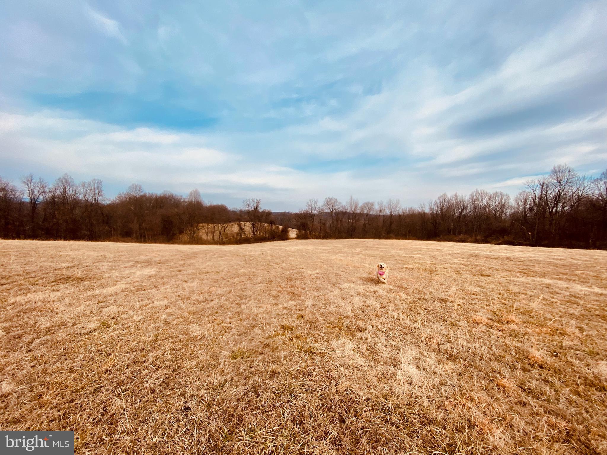 Hughesville Hamilton, VA 20158 - Photo 4 of 7