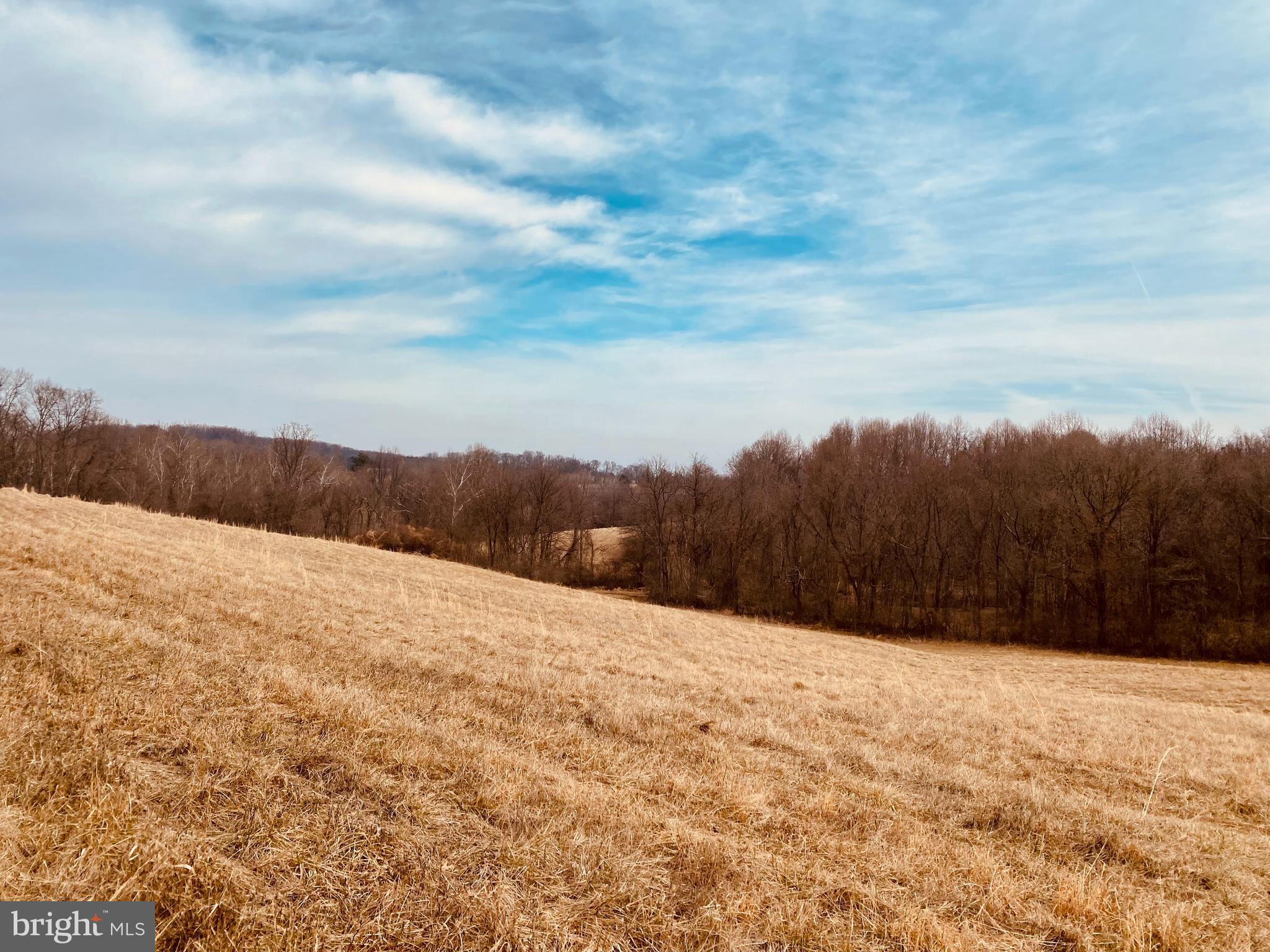 Hughesville Hamilton, VA 20158 - Photo 5 of 7