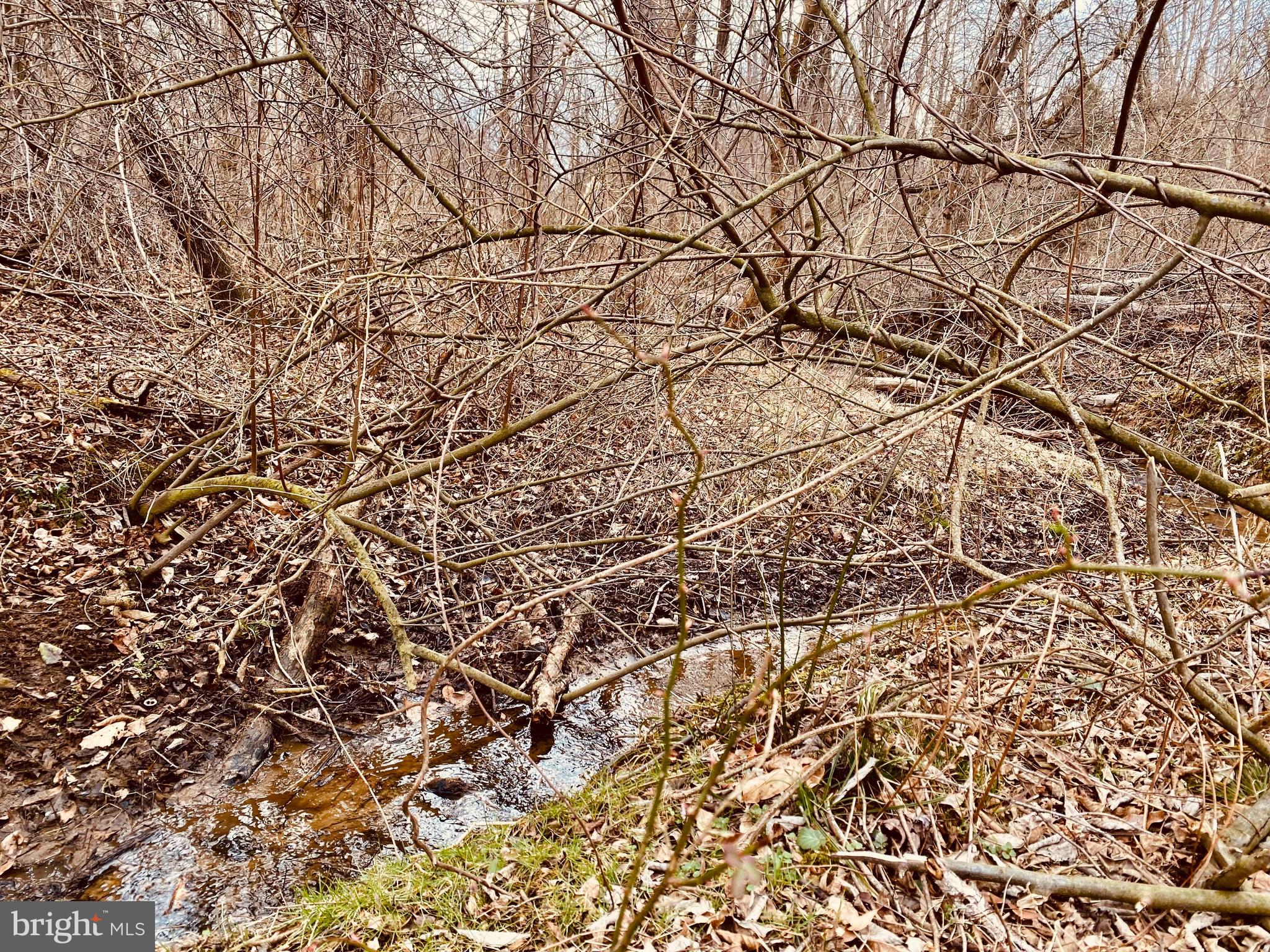 Hughesville Hamilton, VA 20158 - Photo 7 of 7
