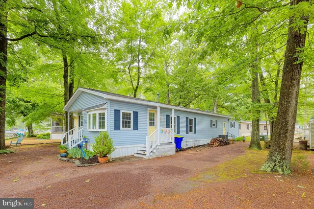 a view of a house with a backyard and a tree