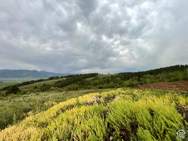 3 Ridge Drive, Unit 3 Freedom, WY 83120 - Photo 10 of 11 View of mountain background