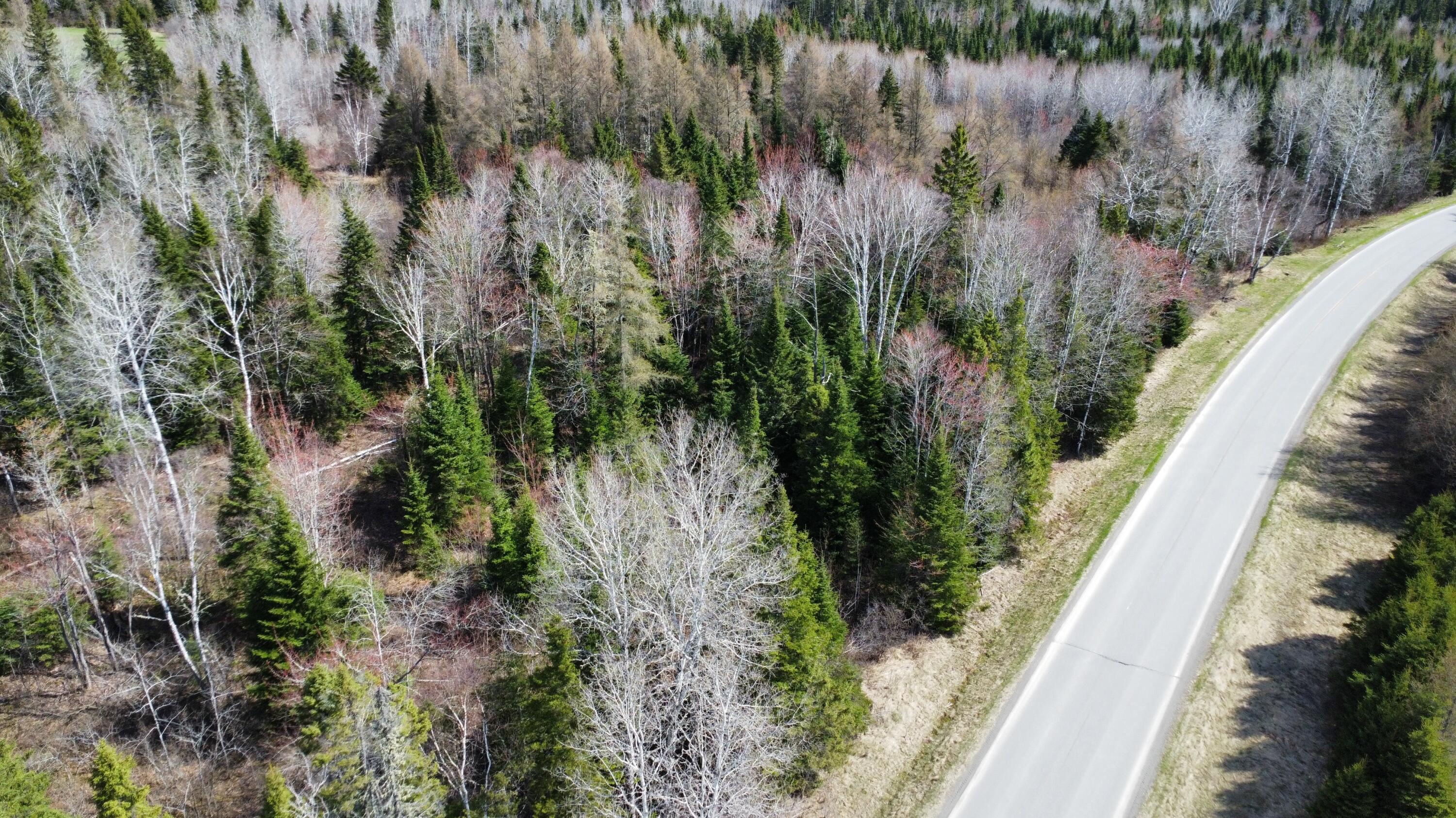 Lot 104 Beaulieu Road Caribou, ME 04736 - Photo 14 of 16 dji_fly_20250509_094430_32_1746798278970