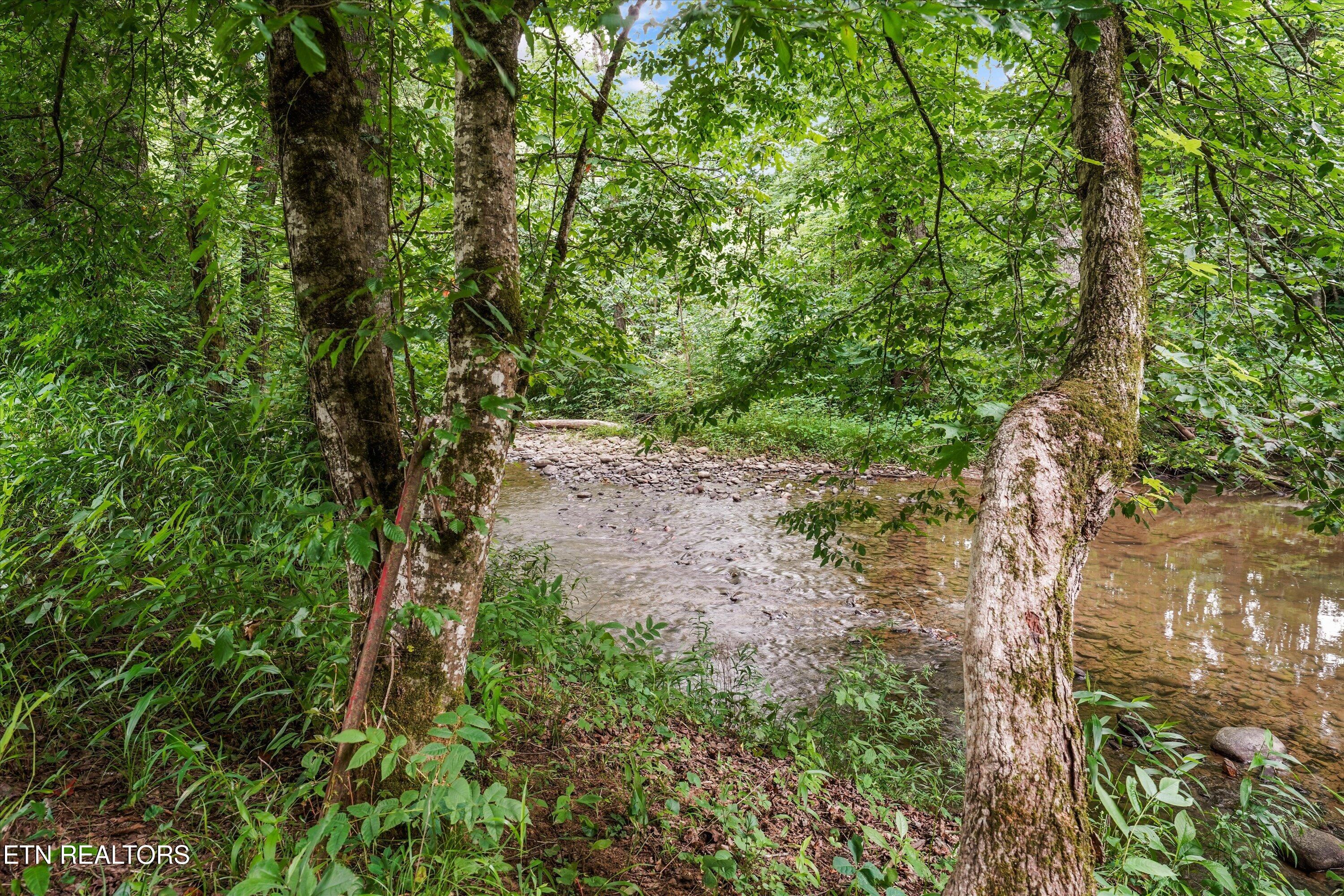 4845 Pearl Valley Road Sevierville, TN 37876 - Photo 12 of 40 36-4845 Pearl Valley Rd 41