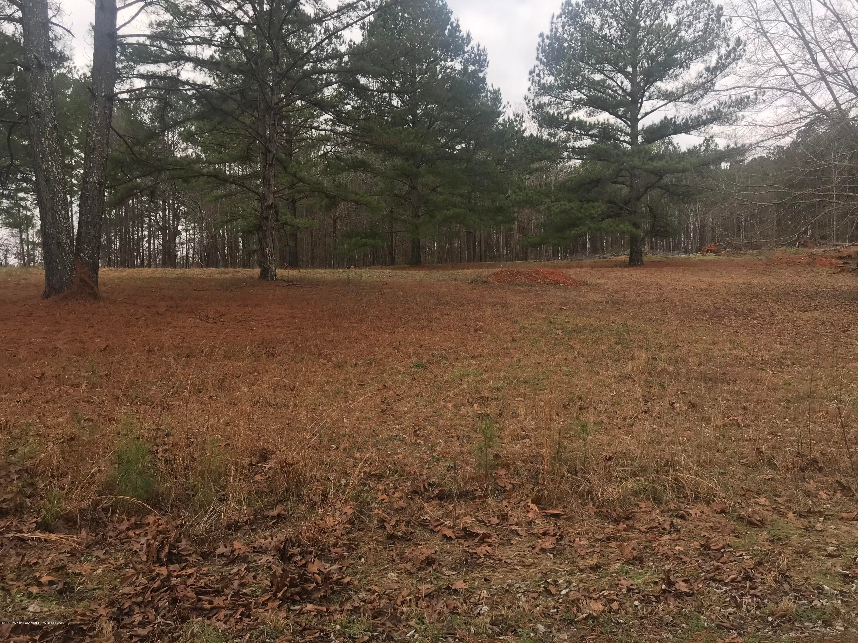 7454 Turner Road Dora, AL 35062 - Photo 1 of 1 Gallery Image 1