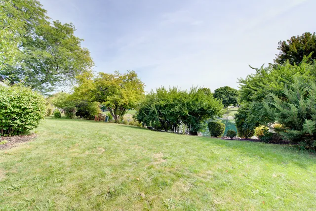 a view of a yard with a tree