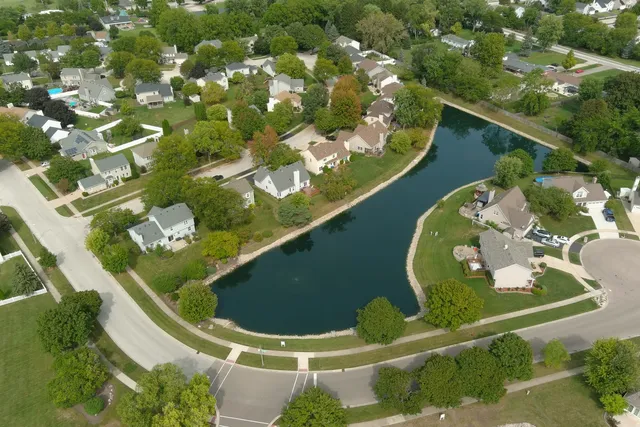 a backyard of a house with plants and large trees