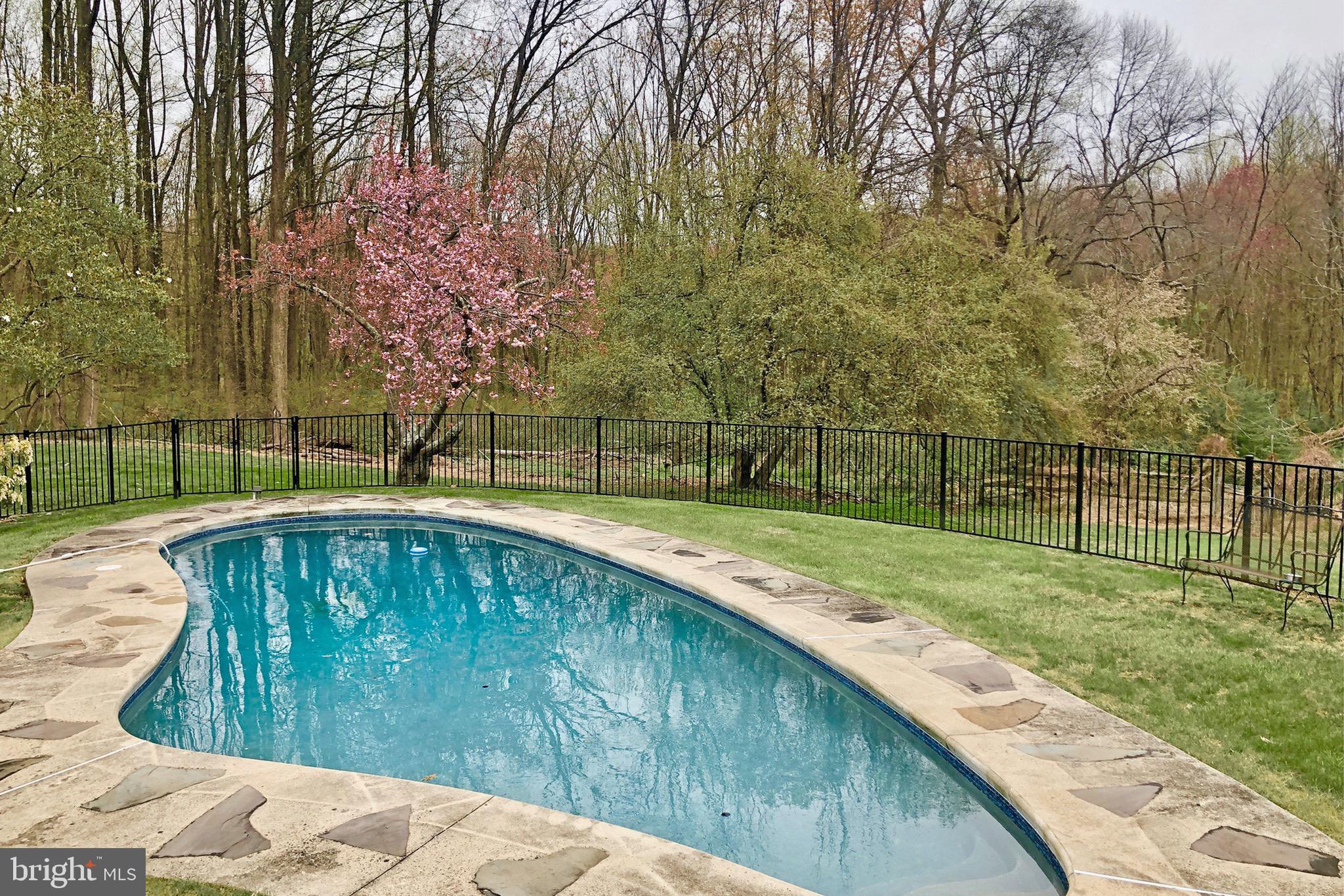 76 Pine Valley Road Doylestown, PA 18901 - Photo 15 of 39 Elegant pool with meadow and forest beyond