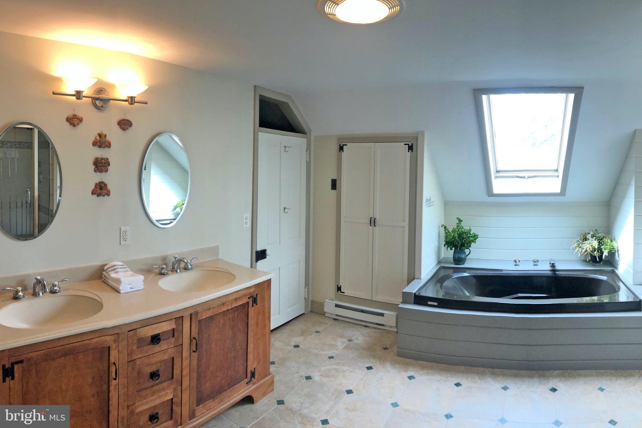 76 Pine Valley Road Doylestown, PA 18901 - Photo 19 of 39 Large Master Bath with Skylight