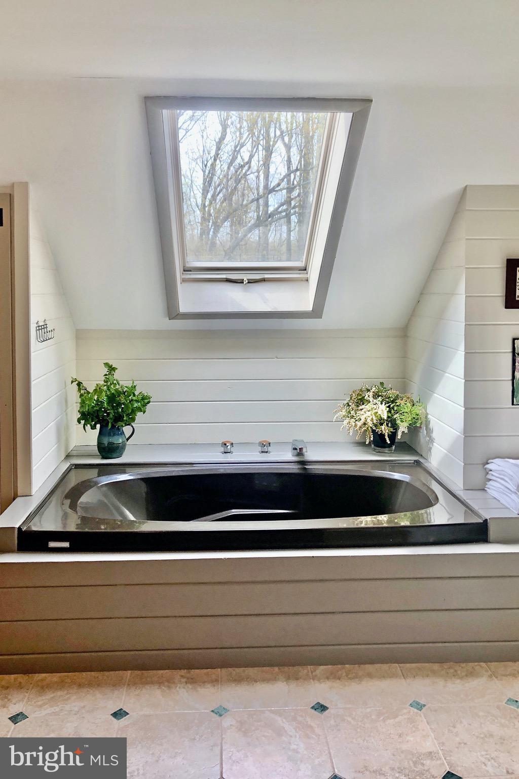 76 Pine Valley Road Doylestown, PA 18901 - Photo 20 of 39 Skylight over soaking tub