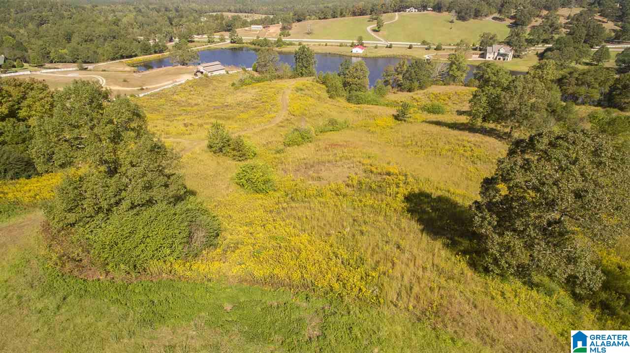 Lot 10 Whispering Pines Road, Unit 10 Vincent, AL 35178 - Photo 9 of 25