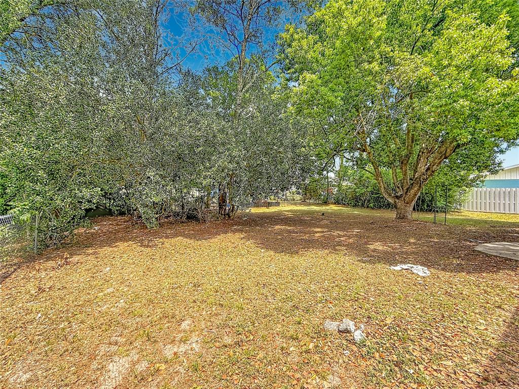 3 Bahia Pl Loop Ocala, FL 34472 - Photo 28 of 31 a view of yard and tree