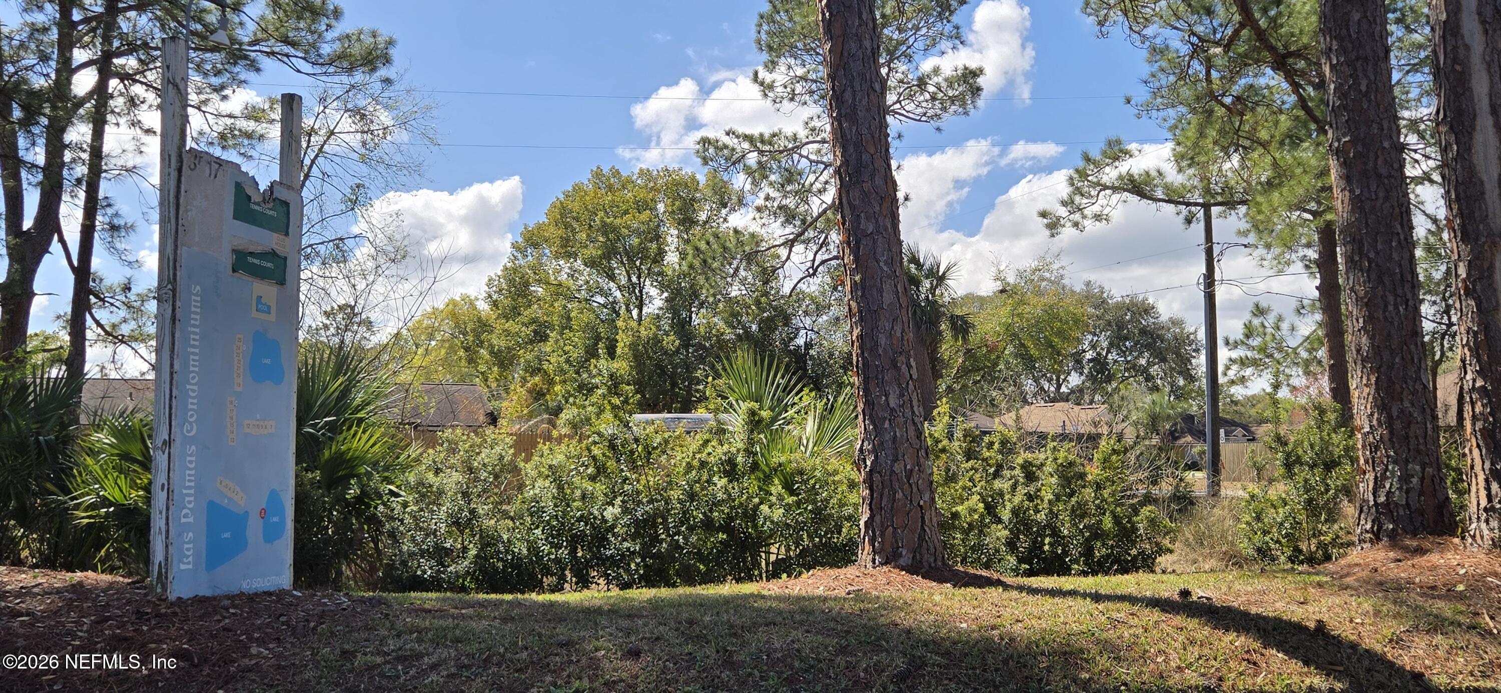 3517 Peeler Road, Unit 13 Jacksonville, FL 32277 - Photo 34 of 38 a view of a yard with plants and trees