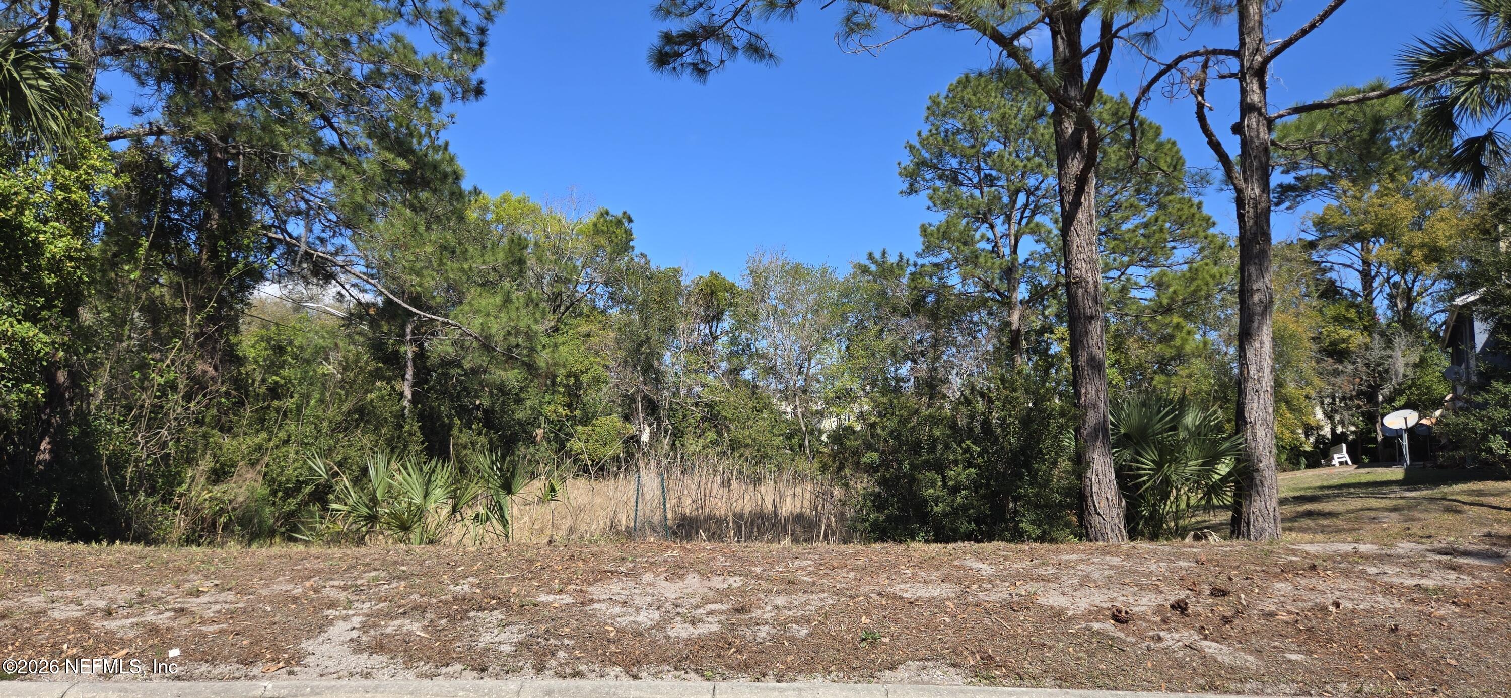 3517 Peeler Road, Unit 13 Jacksonville, FL 32277 - Photo 37 of 38 a view of a yard with plants and trees