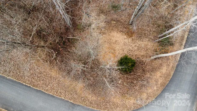 a view of a plant in a corridor