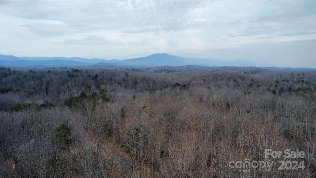 a view of a bunch of trees in a field