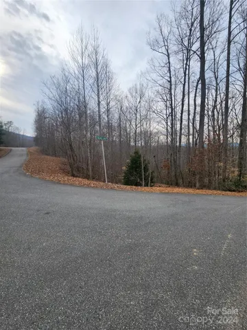 a view of a field with trees in background