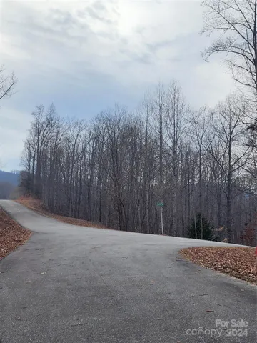 a view of a dry yard