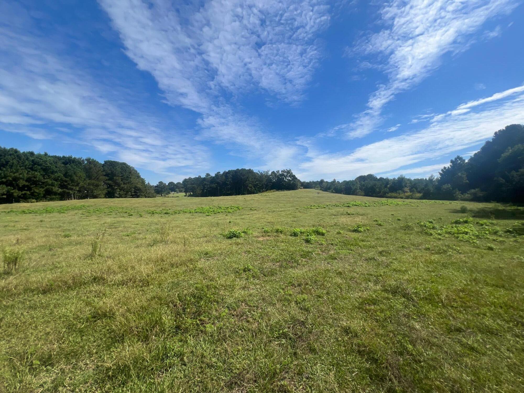 4145 Old Lincolnton Road Appling, GA 30802 - Photo 8 of 17 3