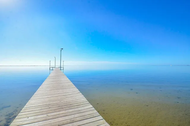 a view of a big yard in front of a brick house with a large tree