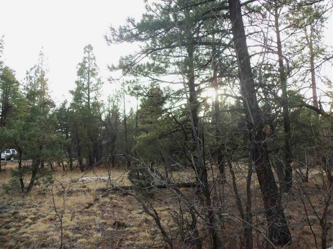 316 West Pine Ridge Drive Lakeside, AZ 85929 - Photo 20 of 22 a view of outdoor space and yard