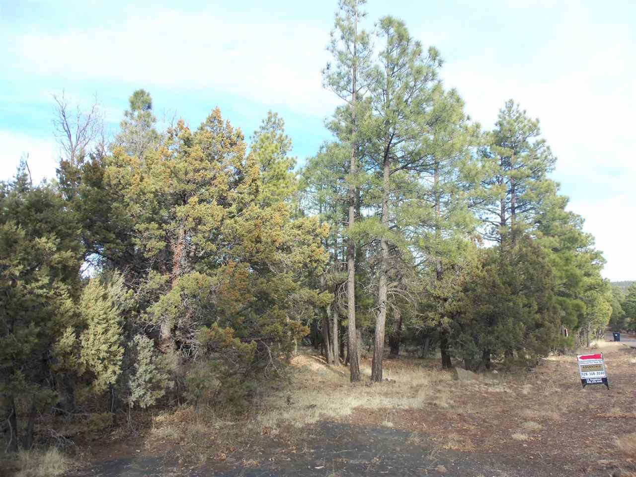 316 West Pine Ridge Drive Lakeside, AZ 85929 - Photo 5 of 22 a view of a forest with trees in the background