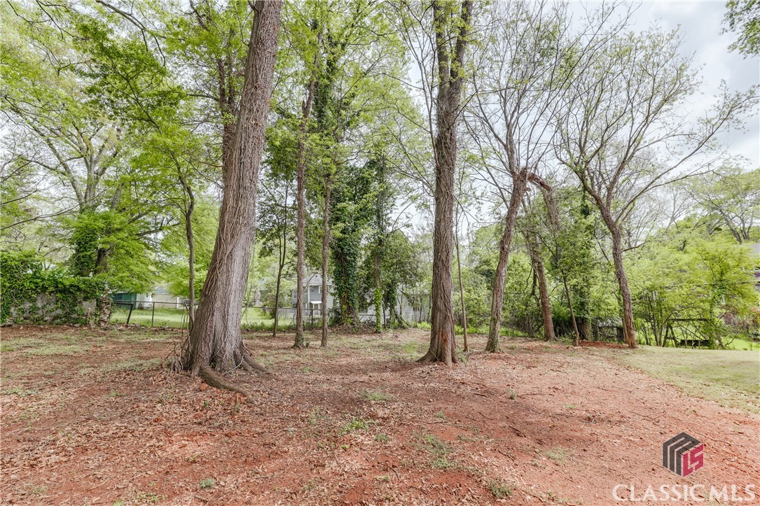 143 Mulberry Street Athens, GA 30601 - Photo 46 of 47
