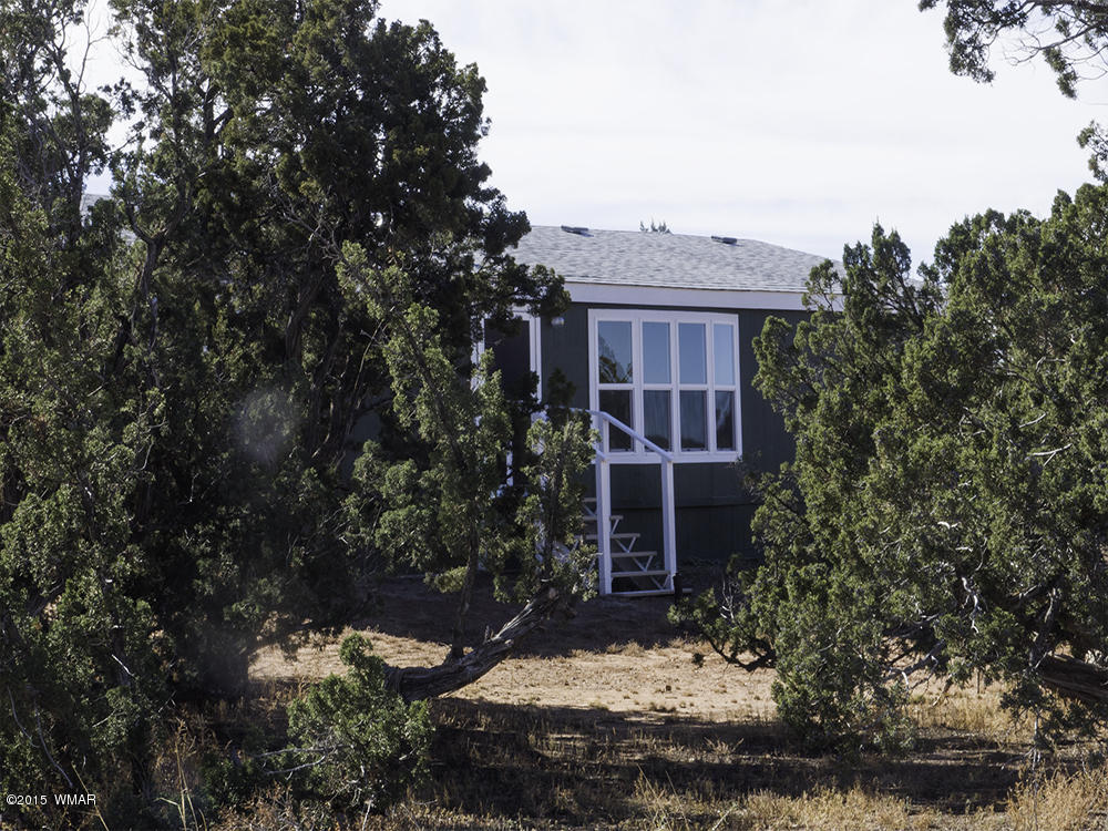 3972 Petersen Road Snowflake, AZ 85937 - Photo 2 of 29