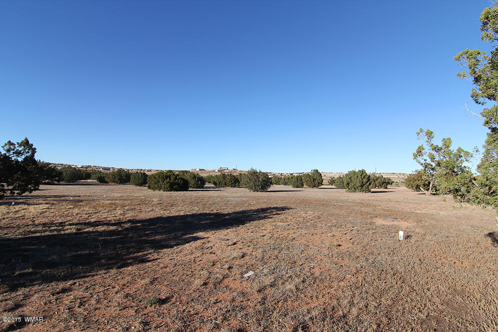 3972 Petersen Road Snowflake, AZ 85937 - Photo 25 of 29