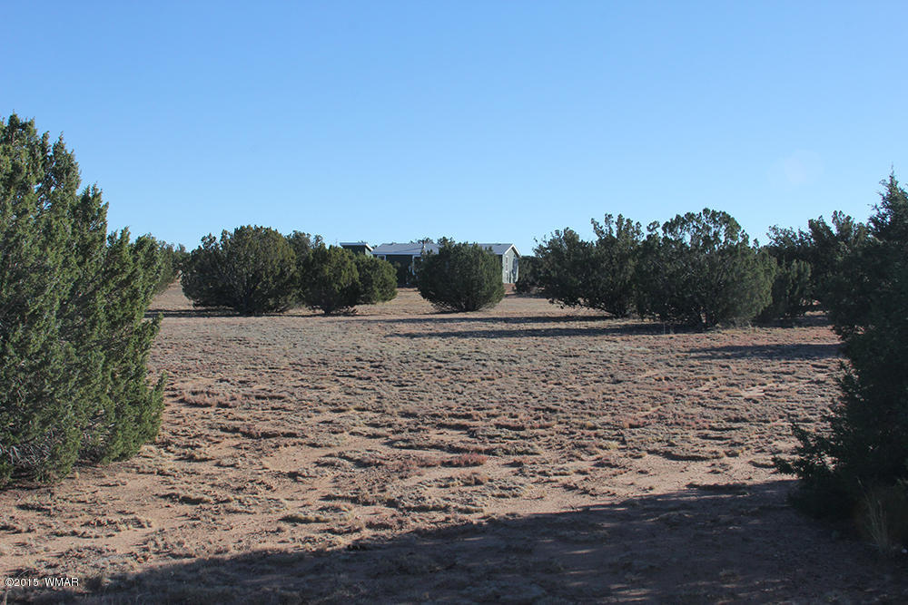 3972 Petersen Road Snowflake, AZ 85937 - Photo 26 of 29
