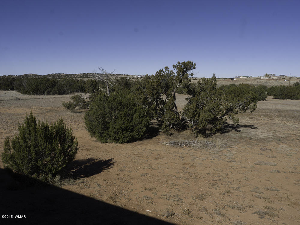 3972 Petersen Road Snowflake, AZ 85937 - Photo 27 of 29