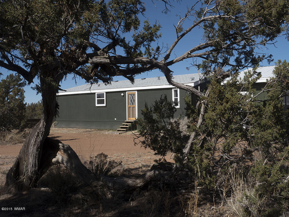 3972 Petersen Road Snowflake, AZ 85937 - Photo 4 of 29