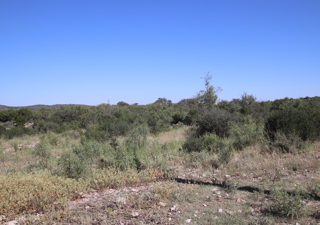 3618 Sd 52100 Rocksprings, TX 78880 - Photo 28 of 88