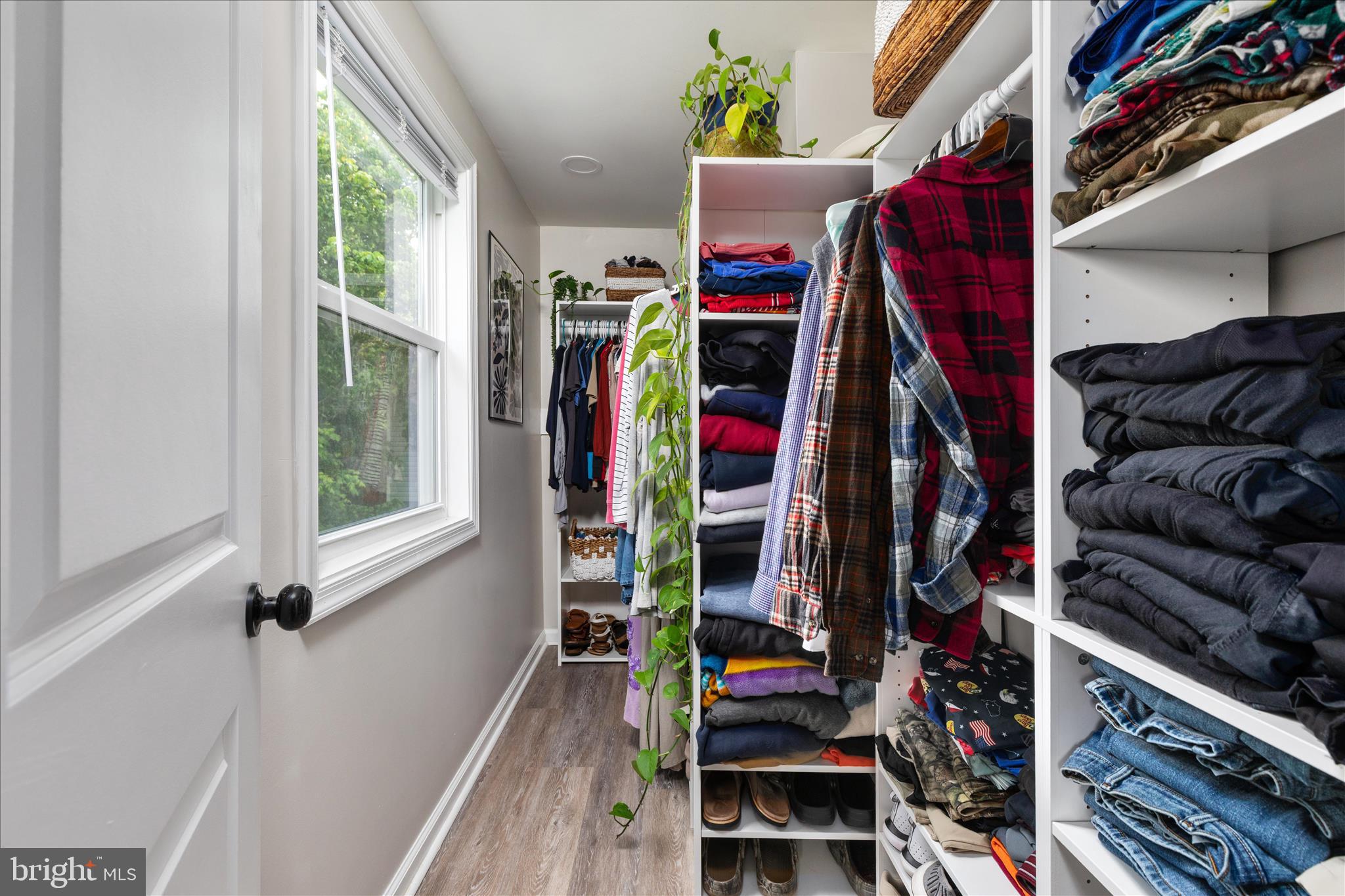 5848 Cardinal Street Mount Jackson, VA 22842 - Photo 11 of 43 Walk-in closet with built-ins