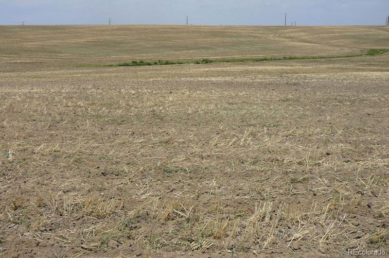 217 South Price Road Deer Trail, CO 80105 - Photo 3 of 7 a view of an ocean