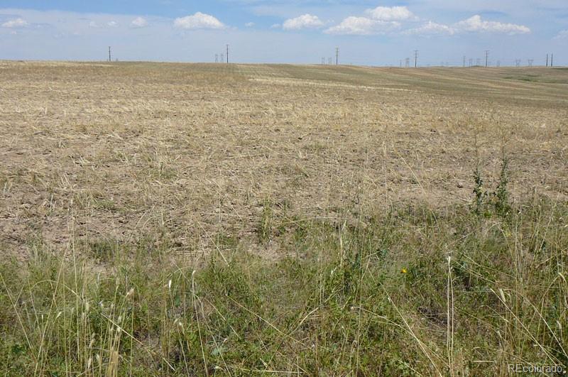217 South Price Road Deer Trail, CO 80105 - Photo 5 of 7 a view of an ocean beach