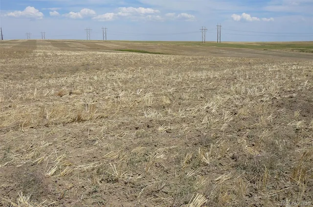 a view of an ocean beach