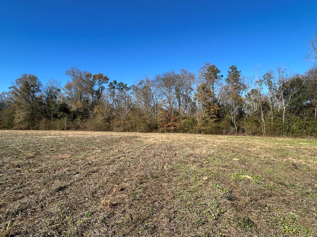 5.296-ac 5.296-ac Road Cottonwood, AL 36320 - Photo 1 of 21 Main View