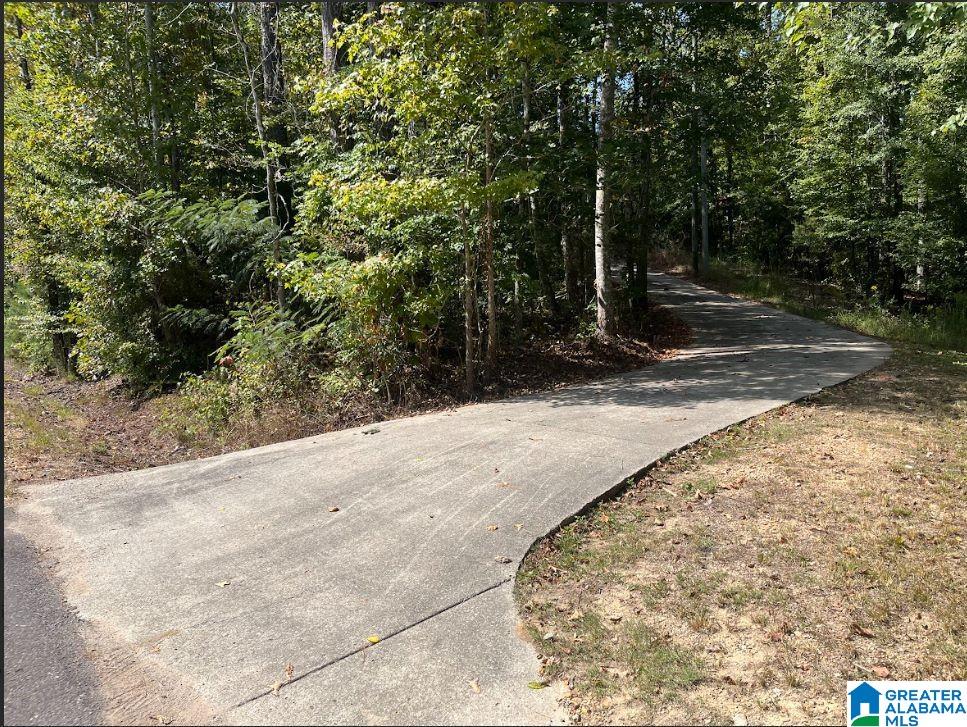 38 Morris Road Pell City, AL 35128 - Photo 29 of 31