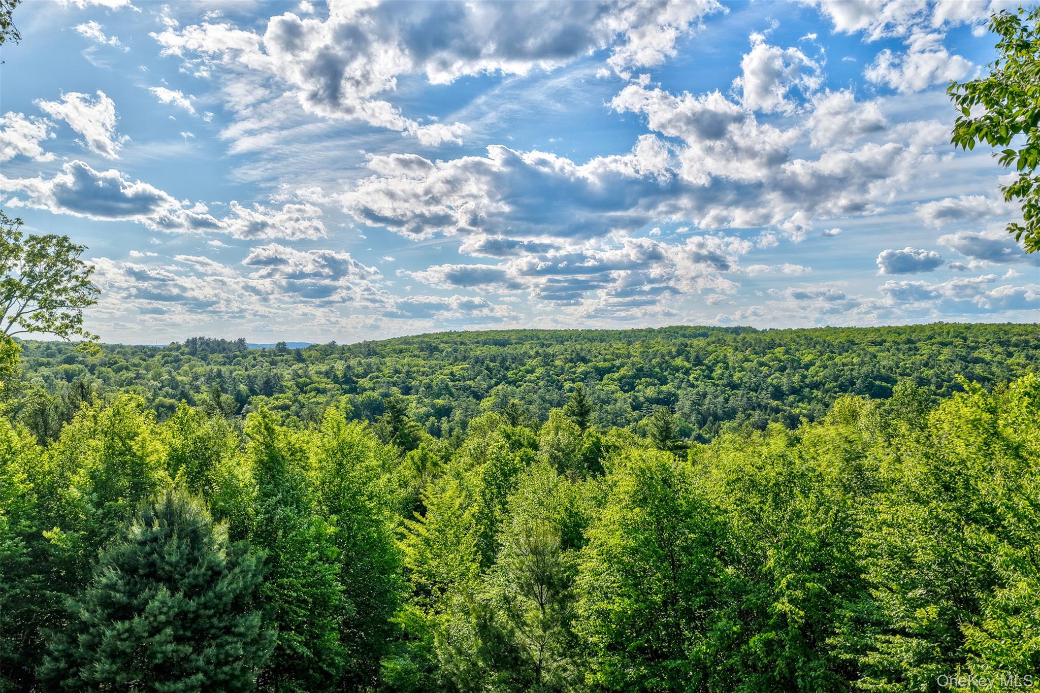 119 Lake Ridge Road Narrowsburg, NY 12764 - Photo 35 of 37