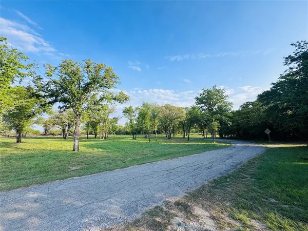 a view of a big yard with a large trees