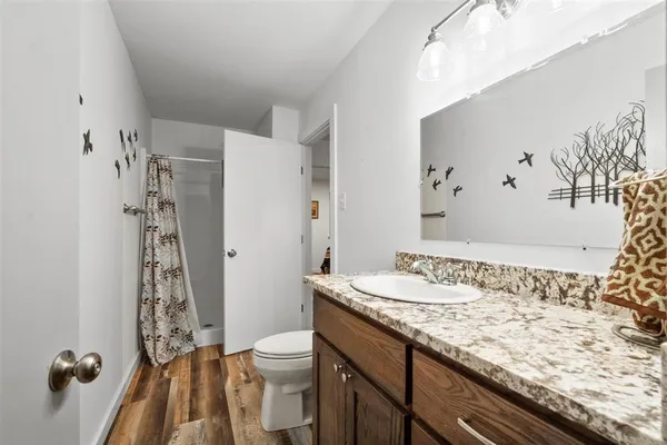 a bathroom with a granite countertop sink a toilet and shower