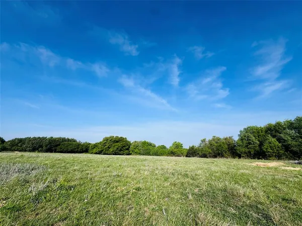 a view of a field with an trees in the background